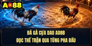 Đá Gà Cựa Dao AO88 - Đọc Thế Trận Qua Từng Pha Đấu